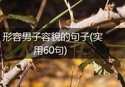 形容男子容貌的句子(实用60句)