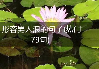 形容男人浪的句子(热门79句)