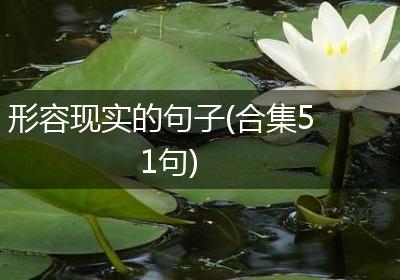 形容现实的句子(合集51句)