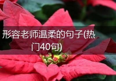 形容老师温柔的句子(热门40句)