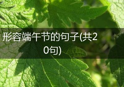 形容端午节的句子(共20句)
