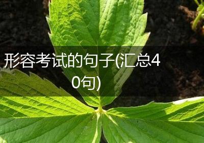 形容考试的句子(汇总40句)