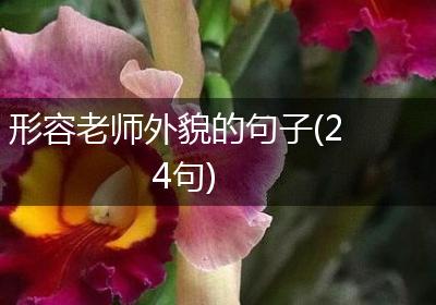 形容老师外貌的句子(24句)