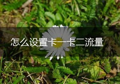 怎么设置卡一卡二流量