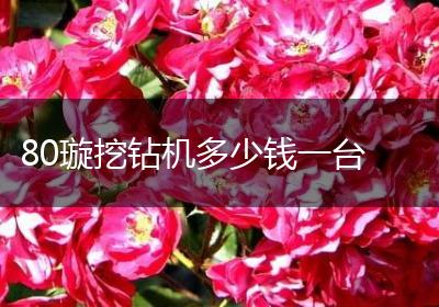 80璇挖钻机多少钱一台