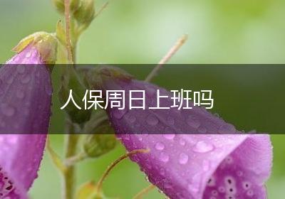 人保周日上班吗