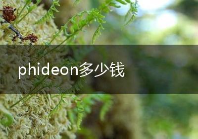 phideon多少钱