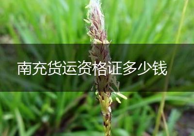 南充货运资格证多少钱