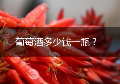 葡萄酒多少钱一瓶？