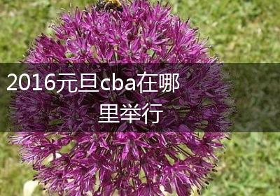 2016元旦cba在哪里举行