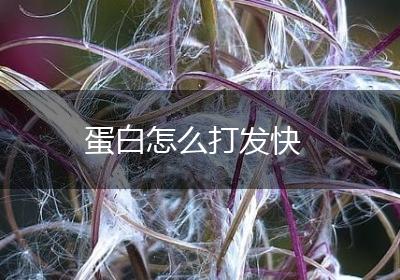 蛋白怎么打发快