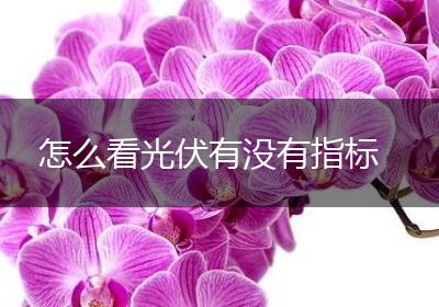 怎么看光伏有没有指标