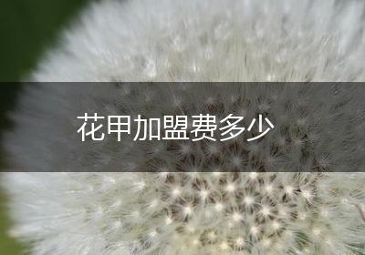 花甲加盟费多少