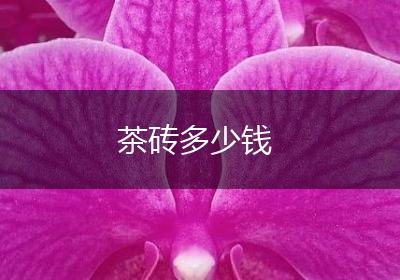茶砖多少钱