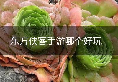 东方侠客手游哪个好玩