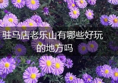 驻马店老乐山有哪些好玩的地方吗