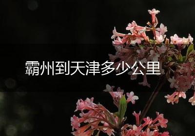 霸州到天津多少公里