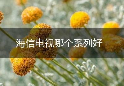 海信电视哪个系列好