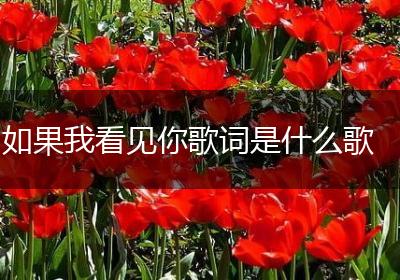 如果我看见你歌词是什么歌