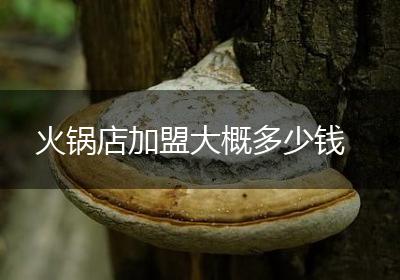 火锅店加盟大概多少钱