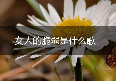 女人的脆弱是什么歌