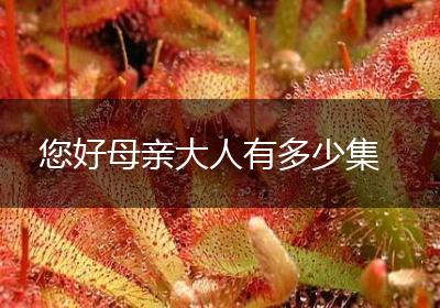 您好母亲大人有多少集