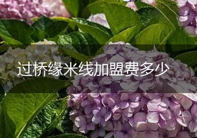 过桥缘米线加盟费多少