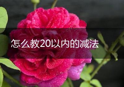 怎么教20以内的减法