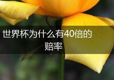世界杯为什么有40倍的赔率