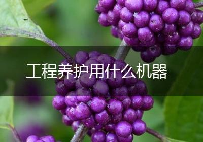 工程养护用什么机器