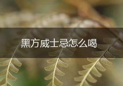黑方威士忌怎么喝