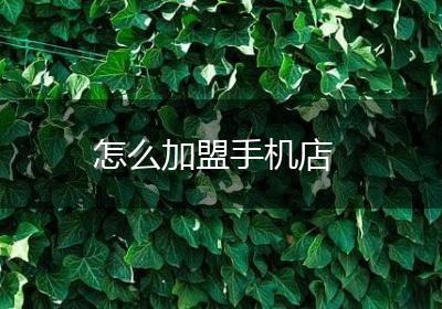 怎么加盟手机店