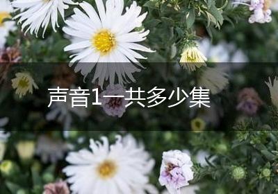 声音1一共多少集