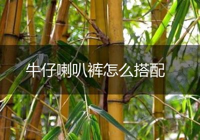 牛仔喇叭裤怎么搭配