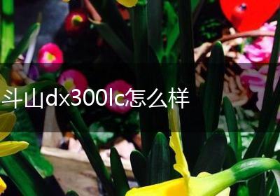 斗山dx300lc怎么样