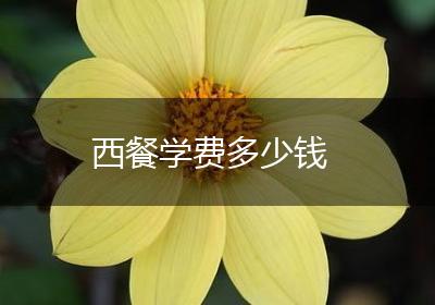 西餐学费多少钱