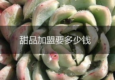 甜品加盟要多少钱