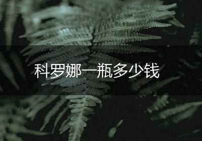 科罗娜一瓶多少钱