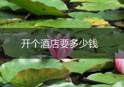 开个酒店要多少钱