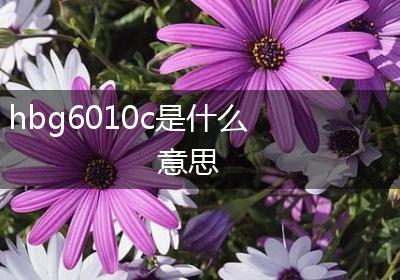 hbg6010c是什么意思