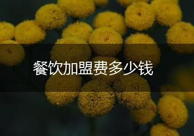 餐饮加盟费多少钱
