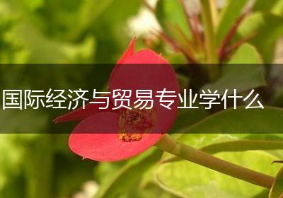 国际经济与贸易专业学什么