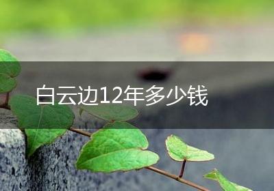 白云边12年多少钱