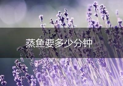 蒸鱼要多少分钟