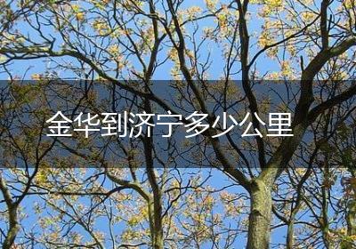 金华到济宁多少公里