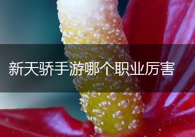 新天骄手游哪个职业厉害