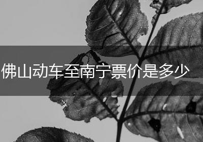 佛山动车至南宁票价是多少