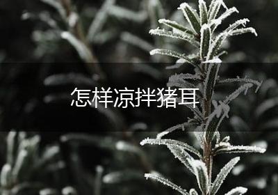 怎样凉拌猪耳