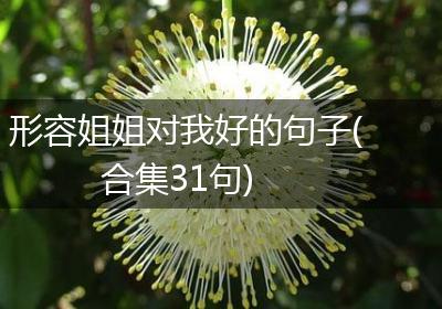 形容姐姐对我好的句子(合集31句)