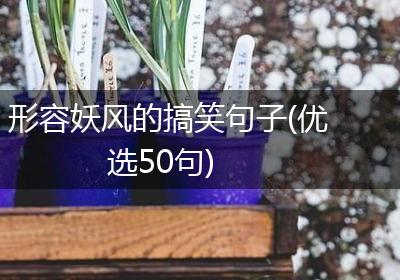 形容妖风的搞笑句子(优选50句)